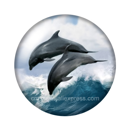 Cabochons en verre ronds à dos - Jewelry Making For Couples avis et prix
