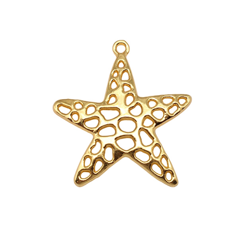 Breloques en Forme d'Étoile de - Jewelry Making For Couples avis et prix